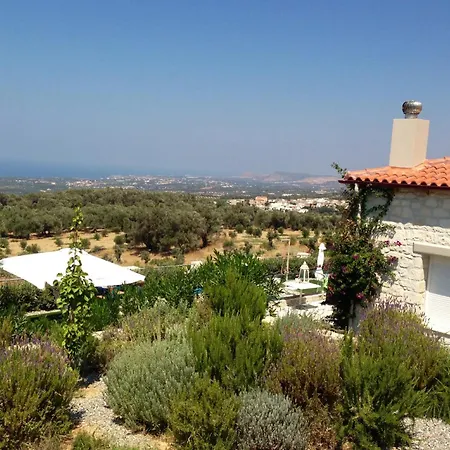 Olympia Vila *