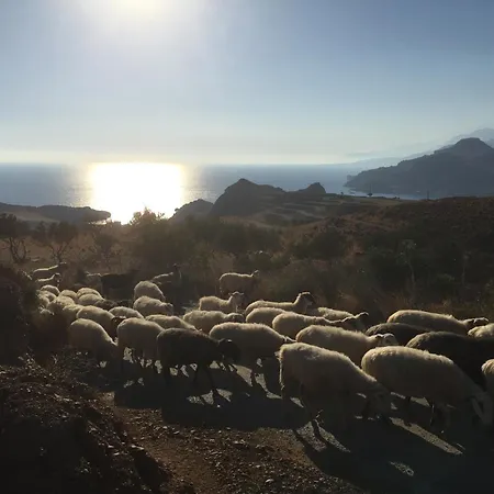 Willa Olympia Retimno