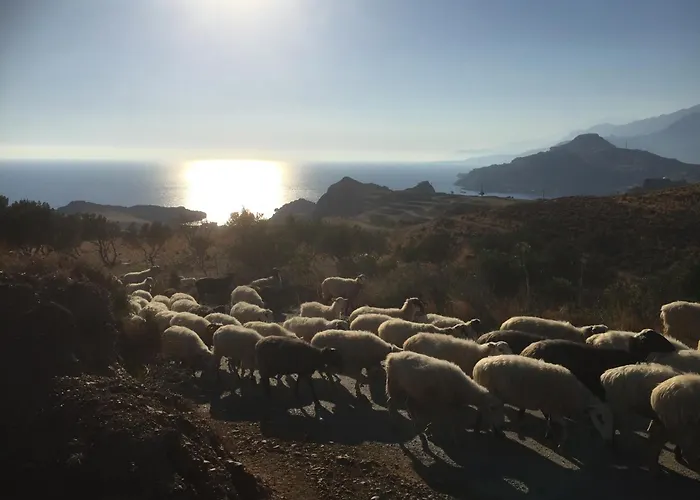 Willa Olympia Retimno